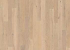 Дуб Паудер (Powder)