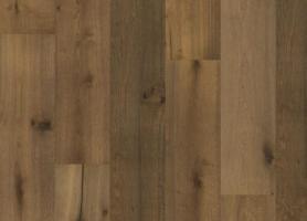 Дуб Сан-Суси (Sanssouci)