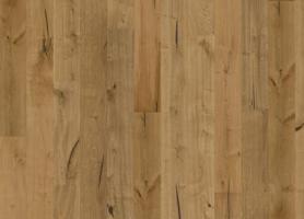 Дуб Юхан (Johan)