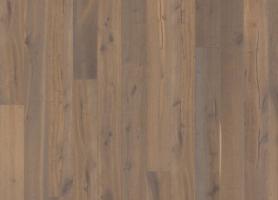 Дуб Стуре (Sture)