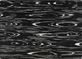 Тополь Ноттинг Хилл многополосный