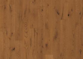 Дуб Тафт (Tuft)