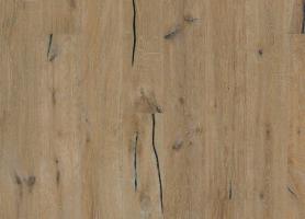 Дуб Кинда (Kinda)