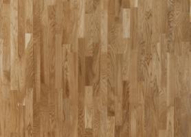 Паркетная доска Focus Floor Паркетная доска Focus Floor