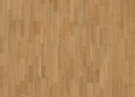 Дуб Вена (Vienna)