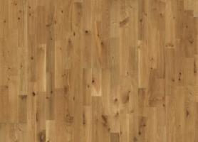 Дуб Буда (Boda) Дуб Буда (Boda)