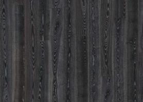 Ясень Черное Серебро (Black Silver)